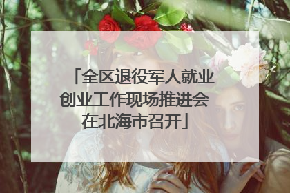 全区退役军人就业创业工作现场推进会在北海市召开